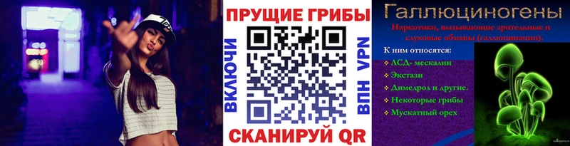 Галлюциногенные грибы Psilocybe где купить наркоту MEGA зеркало Холмск